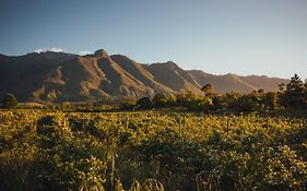 Wildebraam Berry Estate